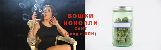 spice Нестеровская