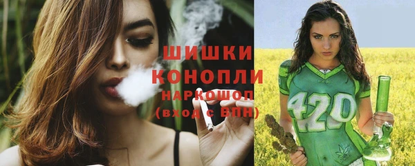 мяу мяу мука Михайловск