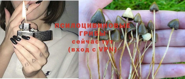 таблы Медвежьегорск