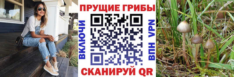 Галлюциногенные грибы мухоморы  где продают наркотики  ссылка на мегу   Бор 