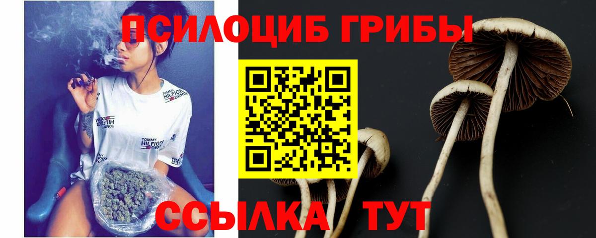 Псилоцибиновые грибы MAGIC MUSHROOMS Бор