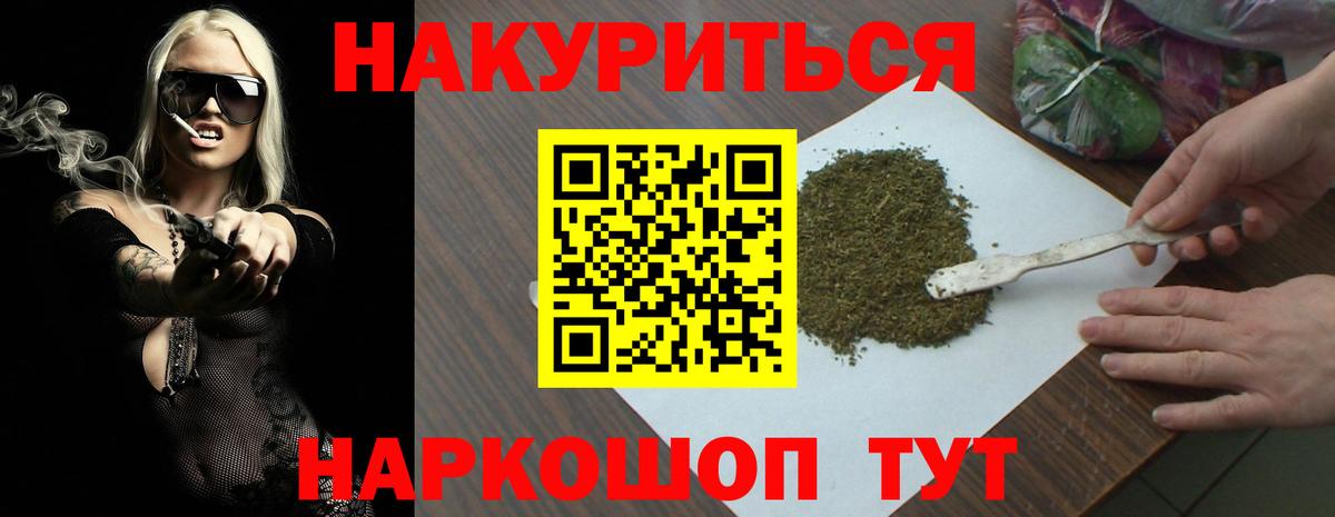 Каннабис планчик  МАРИХУАНА MAZAR  Бор  Каннабис MAZAR 